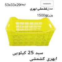 سبد 25 کیلویی ابهری کشمشی