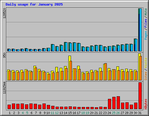 Daily usage for January 2025