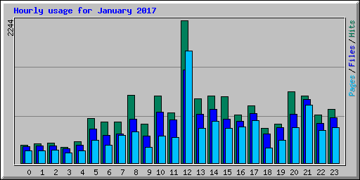 Hourly usage for January 2017