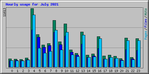 Hourly usage for July 2021