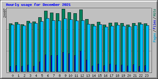 Hourly usage for December 2021
