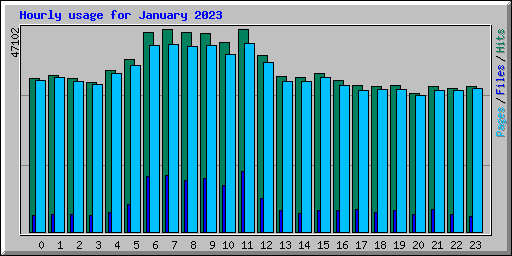 Hourly usage for January 2023