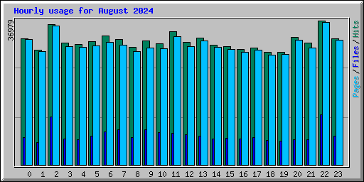 Hourly usage for August 2024