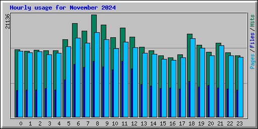 Hourly usage for November 2024