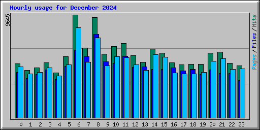 Hourly usage for December 2024