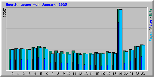 Hourly usage for January 2025