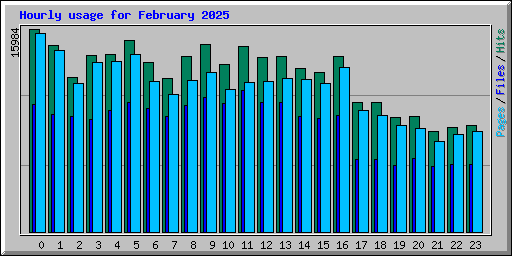 Hourly usage for February 2025