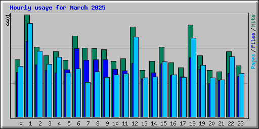 Hourly usage for March 2025