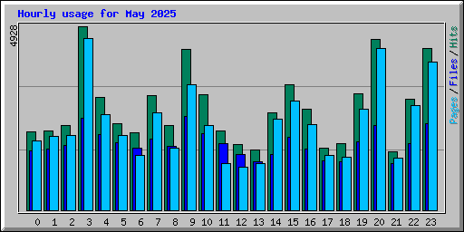 Hourly usage for May 2025