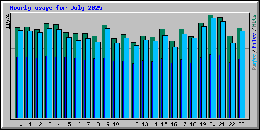 Hourly usage for July 2025
