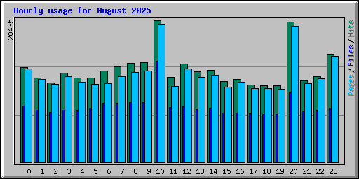 Hourly usage for August 2025