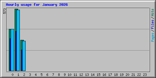 Hourly usage for January 2026