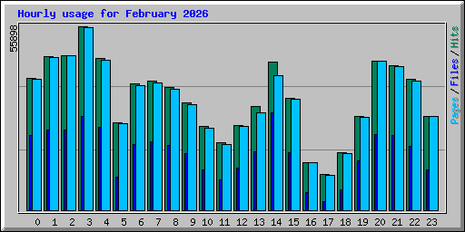 Hourly usage for February 2026