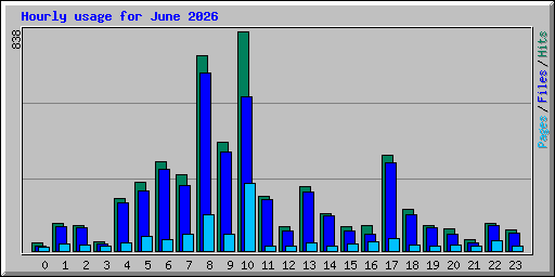 Hourly usage for June 2026