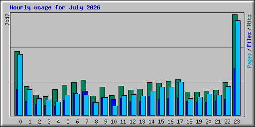 Hourly usage for July 2026