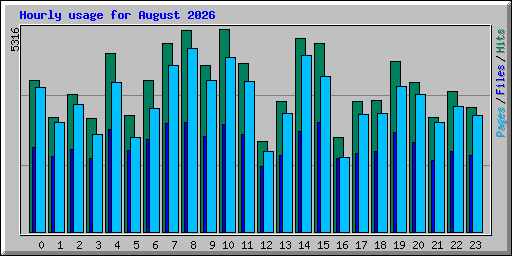 Hourly usage for August 2026